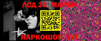 шишки Бузулук