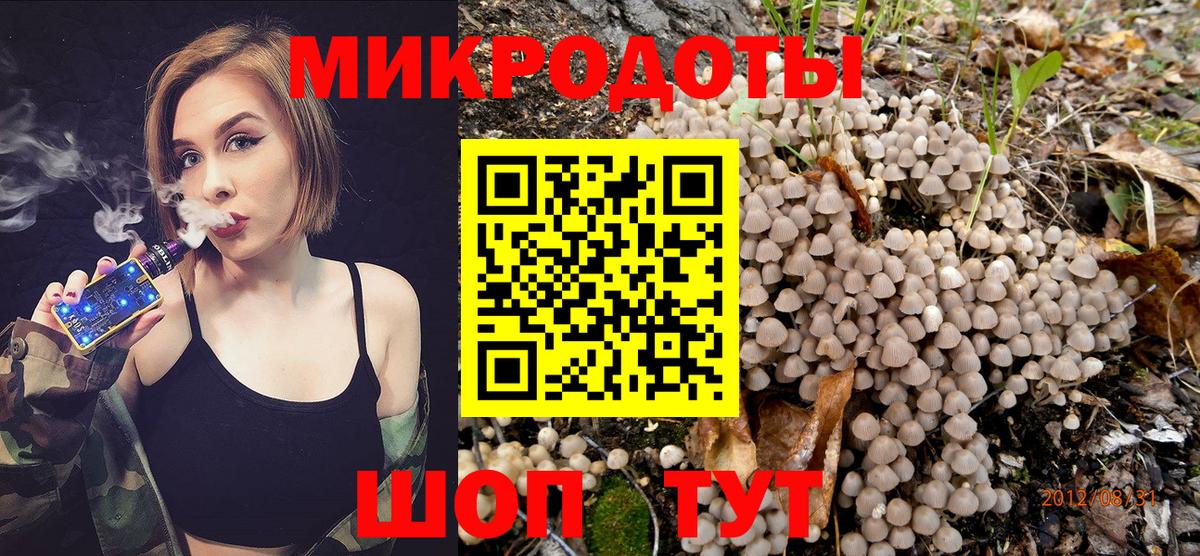 Псилоцибиновые грибы мицелий Удомля